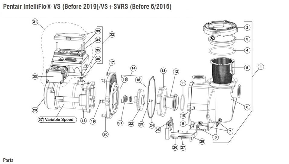 Parts - Intelliflo® Pump Motor Parts