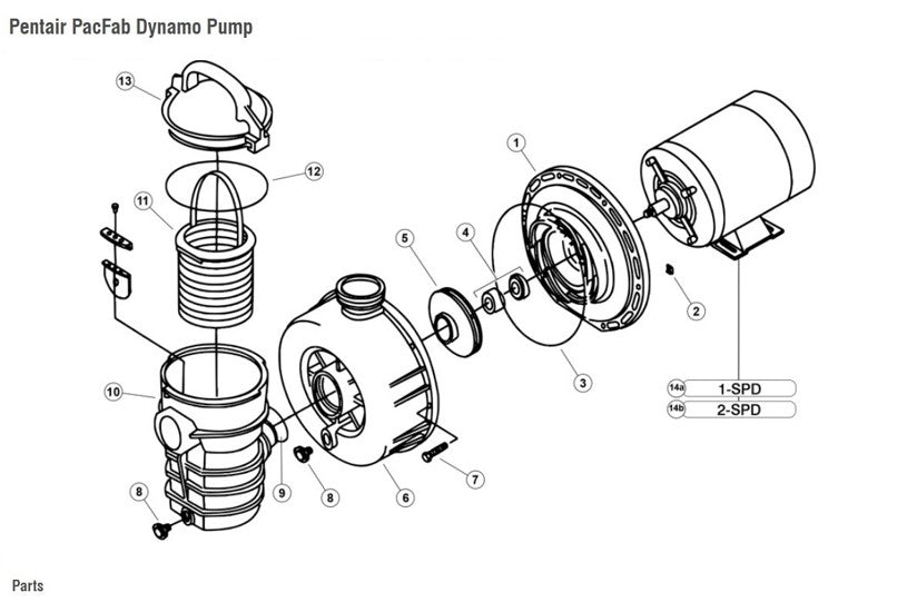 Parts - Pentair PacFab Dynamo Pump