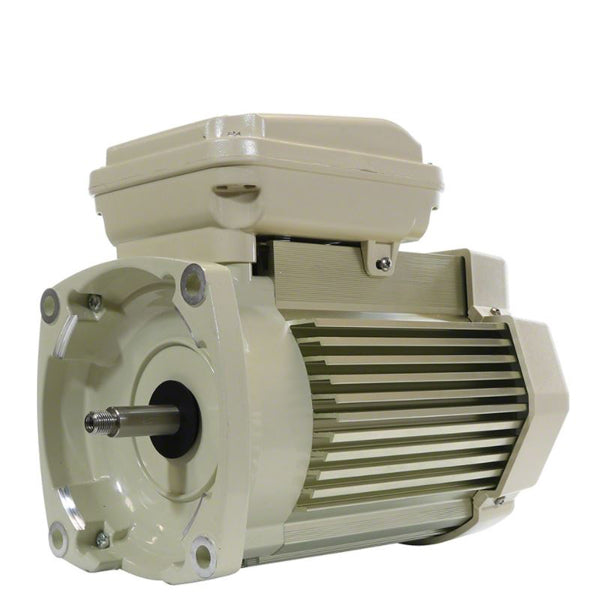 Pentair TEFC Replacement Motor WhisperFlo & SuperFlo Pumps