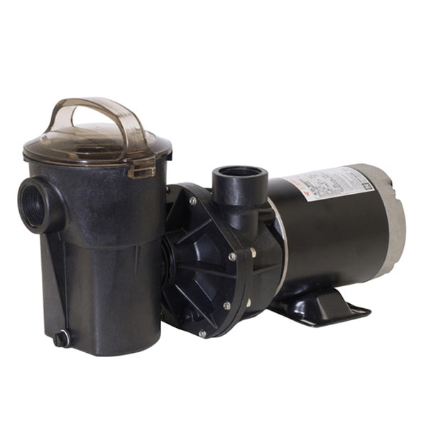 Hayward PowerFlo LX Pump