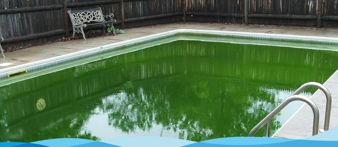 How do you get Rid of Green Pool Algae?